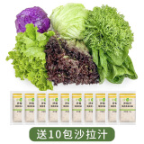 绿食者 新鲜蔬菜沙拉组合4斤 西餐色拉沙拉生菜轻食健身食材配菜 4斤【有沙拉酱】