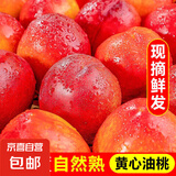 国产黄心油桃 桃味十足  产地直发 现摘现发喜田 单果50g+ 带箱2斤净重1.6-1.8斤