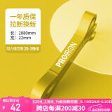 PROIRON普力艾 弹力带阻力带 男女健身练腿引体向上助力带瑜伽拉伸拉力带