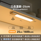 几光LED智能人体感应灯橱柜条形灯无线充电磁吸小夜灯带衣柜厨房灯 25cm三色温-充电-日/夜感应