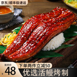 渔游记蒲烧鳗鱼精品日式整条即食烤鳗鱼饭活鳗烤制含料汁 蒲烧鳗鱼250g/条*2条