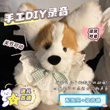 梵昇昱新年礼物录音玩偶手工DIY小狗小兔生日高级毛绒玩具可爱送女友 柯基DIY【含录音器+含围兜】