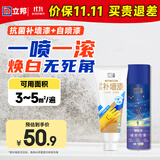 墙面修补膏补墙漆膏乳胶漆自喷漆220ml+抗菌补墙漆300g