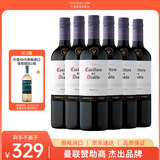 红魔鬼（Casillero del Diablo）梅洛干红葡萄酒 750ml*6瓶整箱装 智利进口红酒