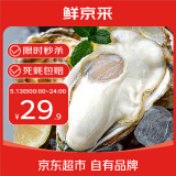 鲜京采【活鲜】生蚝4斤 2XL 14-17只装 源头直发  海鲜水产 露营烧烤