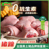 壹号土黑猪新鲜土猪猪肉梅花肉五花肉排骨里脊肉慢养300天（净重1500g） 猪蹄 1500g（切块）