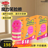 利快进口抹布百洁布厨房家用纤维布洗碗布清洁布 百洁布四件套*2