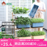 奥美优长方形种菜盆加厚霍伦盆家用种植箱长盆阳台窗台种菜神器 白色2个