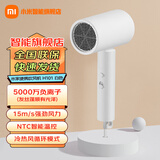小米（MI）米家高速吹风机H101家用多种吹发模式小巧可折叠负离子护发双重过保护七夕礼物推荐 米家吹风机 H101 白色