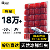 YEE冰冻红虫丰年虾牛心汉堡罗汉六角恐龙七彩孔雀鱼发财鱼饲料鱼鱼食 【发顺丰】小红虫5板(喂食镊+化冰盒)
