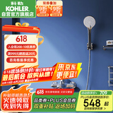 科勒（KOHLER）挂墙式淋浴花洒套装浴缸龙头家用手持花洒淋浴器 28580 带下出水