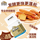燕子（SAF INSTANT）烘焙原料 高活性即发酵母粉100g 耐高糖