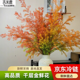 吉米鹿高品质千层金鲜花水养绿植物黄金香柳金橙色70-80cm6枝源头直发