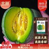 北蔬 冰翡翠甜瓜种子种苗超甜绿宝石香瓜水果籽 冰翡翠甜瓜种子约50粒