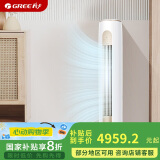 格力（GREE）2匹 京桂II 新一级能效 变频冷暖 净菌自洁 立柜式空调柜机 KFR-50LW/(50587)FNhAd-B1(JDWIFI)