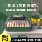 威振 孵化器全自动家用小型芦丁小鸡鸭鹅鸽子鹌鹑孵化机孵蛋器孵化箱 64枚智能单电【可控湿+多类种蛋】