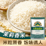 泰金香 玉兰香米 大米5kg 茉莉香米 长粒米 大米10斤