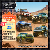 风火轮（HOT WHEELS）(随机1款发货)儿童礼物生日赛车玩具-风火轮仿真主题车系列GDG44