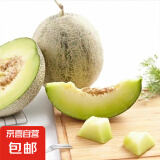 正宗网纹蜜瓜网纹蜜瓜软糯香甜新鲜水果冰糖蜜瓜网纹瓜 9斤
