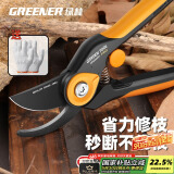 绿林（GREENER）园艺修枝剪家用花卉盆景造型专用剪刀省力果树剪花园林剪子调节款