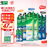 DARLIE好来(原黑人)热销榜双重薄荷2合1超白去烟渍去口气美白牙膏880g