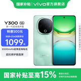 vivo Y300 国家补贴 新一代超级扬声器 6500mAh超薄蓝海电池 超抗摔护眼直屏 拍照 AI 手机 青松 8GB+256GB 官方标配