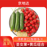 京地达栗贝诺圣女果小黄瓜组合4.5斤 小番茄小青瓜健康轻食 源头直发