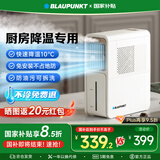 蓝宝（BLAUPUNKT）【厨房降温】冰雾扇电风扇家用空调扇加湿水冷风扇冷风机制冷小空调扇无需冰晶 节能低噪可拆洗 X5