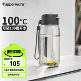 特百惠（Tupperware）乐趣550ML塑料杯夏季男女学生便携运动水杯子大容量双饮口 都市灰