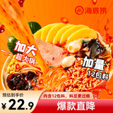 海底捞自热火锅 方便速食分享装 东北风味麻辣烫超大锅366g