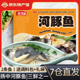 豚鲜天下（TUNXIAN WORLD）扬中河豚鱼700g2条 江苏特产红烧金汁白汤无毒速冻生鲜食材淡水鱼 白汤河豚鱼（7仓直发）