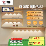 公牛（BULL）感应猫眼橱柜灯磁吸充电山丘光效展柜玄关氛围小夜灯 银26cm三色