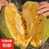 越南菠萝蜜正宗进口鲜果香甜可口果王稀缺脆甜带皮出果肉40%左右 带皮切块果肉2.5斤-3斤