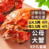 【活蟹】乾澄大闸蟹现货公蟹4.5两母蟹3.5两 8只4对 去绳足重鲜活螃蟹海鲜礼盒源头直发