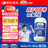 佳思敏（Nature's Way）磷脂酰丝氨酸儿童dha鱼油30粒 记忆力dha学生补脑青少年6-18岁
