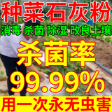 种菜专用生石灰粉石灰杀虫消毒干燥剂菜地驱虫粉养殖土壤除湿防潮 10袋,200g/袋【土壤杀虫杀菌】