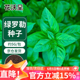 花沃里绿罗勒种子5g/包 蔬菜种子四季菜籽阳台种植盆栽土庭院田间种植