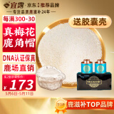 宜露鹿角帽粉梅花鹿角帽打粉吉林双阳鹿角散粉鹿托盘鹿角胶胶囊