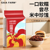 盖亚农场血糯米2.5斤黑糯米粽子米腊八粥米紫东北五谷杂粮饭