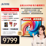 科大讯飞人工智能旗舰学习机T30 Pro 14.7英寸超大护眼屏 中高考同源技术 星火+DeepSeek双AI模型12+512G 
