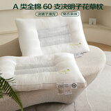 艾薇 A类全棉60支决明子护颈枕纤维枕头宿舍家用枕芯48*74cm 决明白