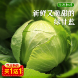 密农人家鲜嫩圆白菜 绿甘蓝新鲜蔬菜  新鲜现摘绿球白菜500g