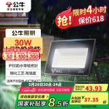 公牛（BULL）LED投光灯户外庭院工厂园林灯露营灯 IP65防水等级30W-6500K白光