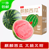 京鲜生 无籽麒麟西瓜 1粒装 净重5-7斤 新鲜水果 源头直发采包邮