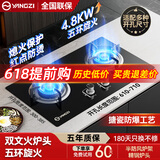 扬子燃气灶天然气煤气灶双灶具大火力嵌入式聚能猛火节能炉灶台式家用燃气灶鸳鸯灶台铜火盖一级能效 标配【天然气 防爆玻璃】五环旋火+熄火保护 不包安装