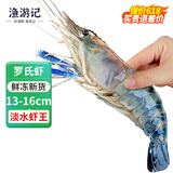 渔游记罗氏虾沼虾3斤鲜活冷冻新鲜大头虾超大虾巨型淡水河虾水产虾类 罗氏虾10-15/斤2.2- 2.6斤(净重)