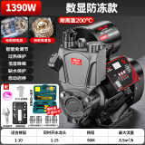 德力西电气（DELIXI ELECTRIC）增压泵家用自吸泵热水器全自动抽水泵自来水全屋太阳能加压管道泵 1390W【数显防冻款】