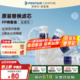 爱惠浦（Everpure） PP棉滤芯4支10吋/5微米加扳手 净水机通用滤芯
