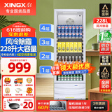 星星（XINGX）展示柜冷藏保鲜柜饮料柜单门立式冰柜风冷直冷冰箱商用食品留样超市便利店蔬菜水果麻辣烫啤酒水柜 25款风冷除霜 1级能效228升LSC-235C