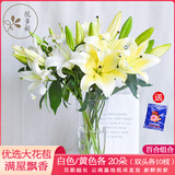 悦多彩AB级优质香水百合 家庭办公室各色生活鲜花 昆明基地 现采直发 百合组合40朵（白色/黄色各20朵）